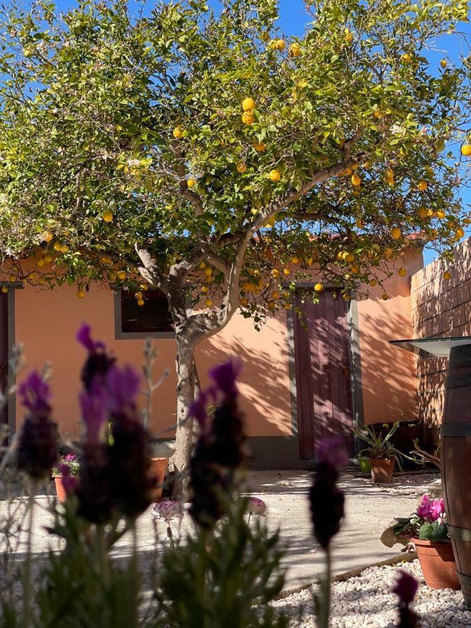 Su Fassoi Cabras Bed and Breakfast Buitenkant foto